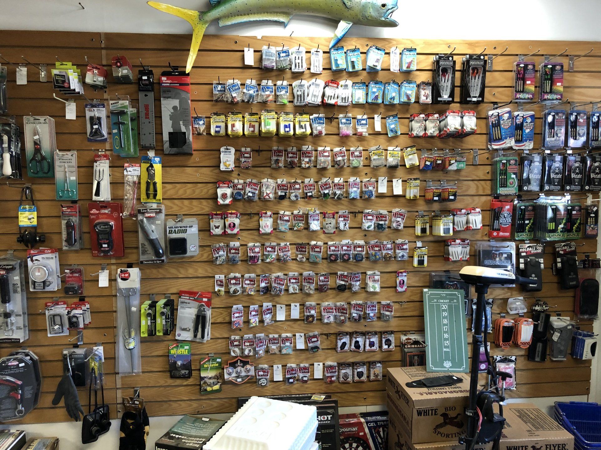 Northwest-sports-gallery