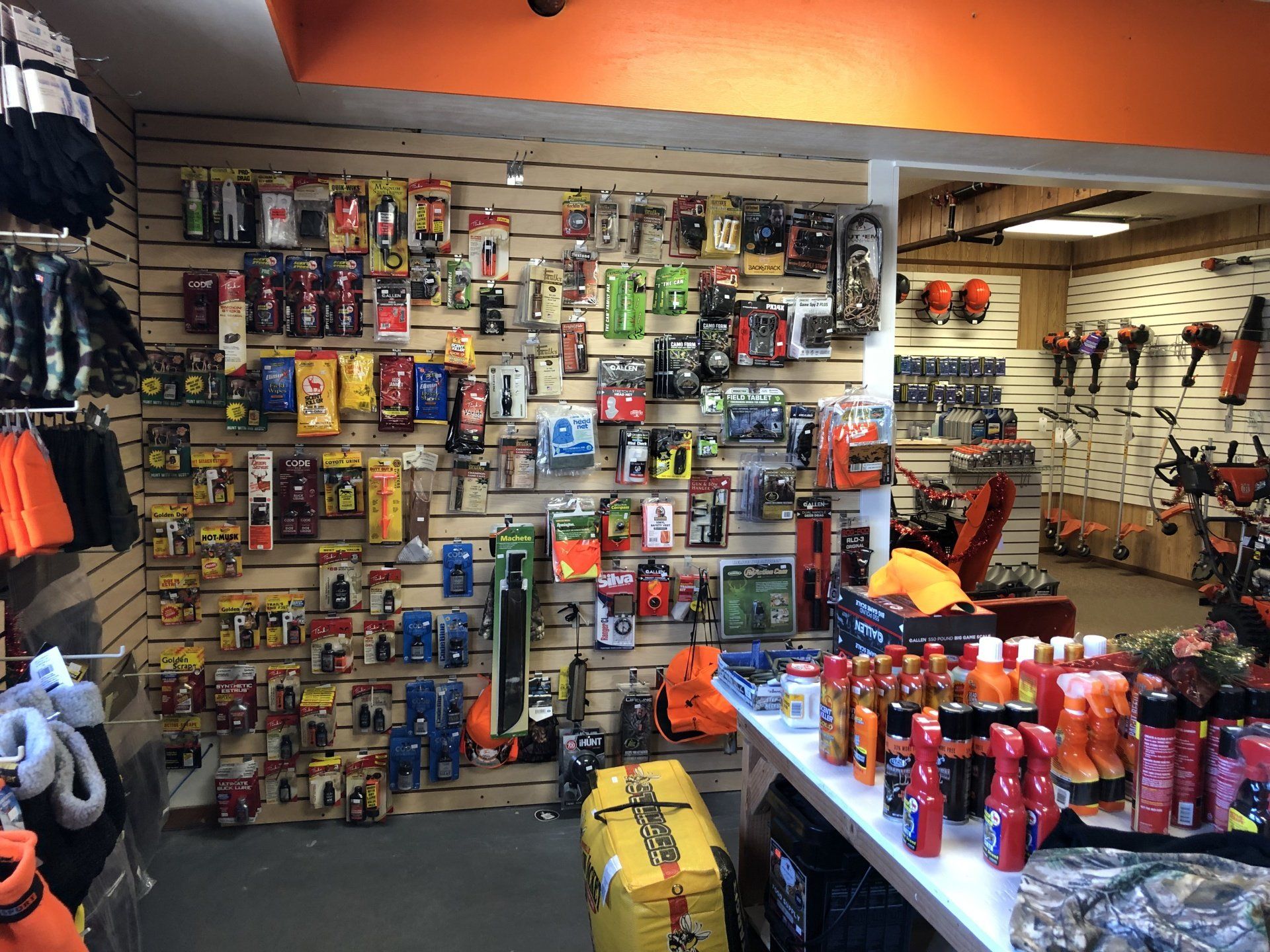 Northwest-sports-gallery