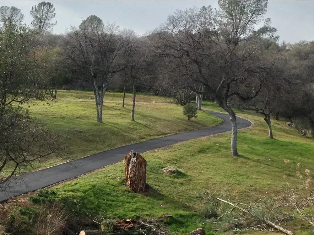 A paved path winds through a grassy, tree-filled landscape on a bright day.
