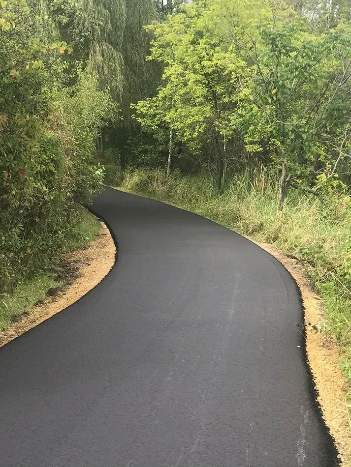A paved, curved trail winds through a lush, green forest on a bright day.