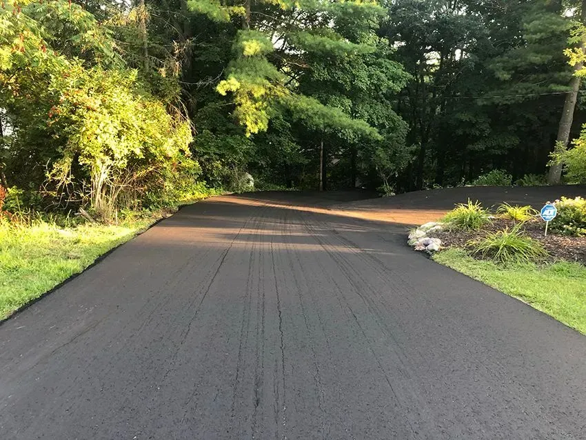 A freshly paved black asphalt driveway curves through a lush, green wooded area.