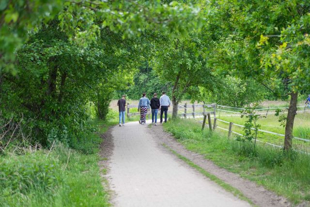 Naturplatz - Familiencampingplatz Haselnne
