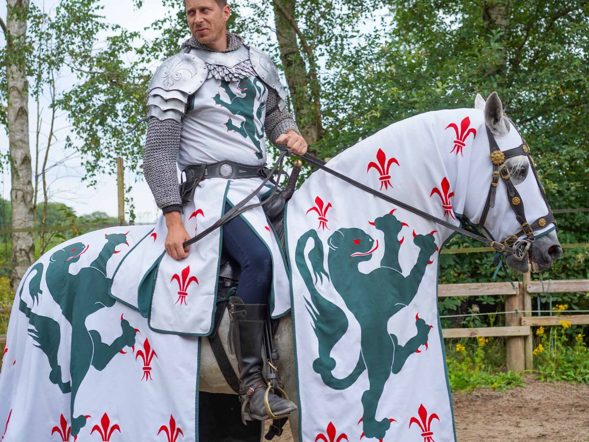 Ritter zu Pferd in Rüstung und verzierter Pferdedecke; grünes Löwenwappen, rote Lilie.