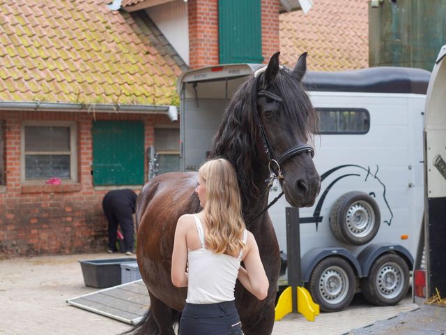 Reiten auf dem Familiencampingplatz Haselnne