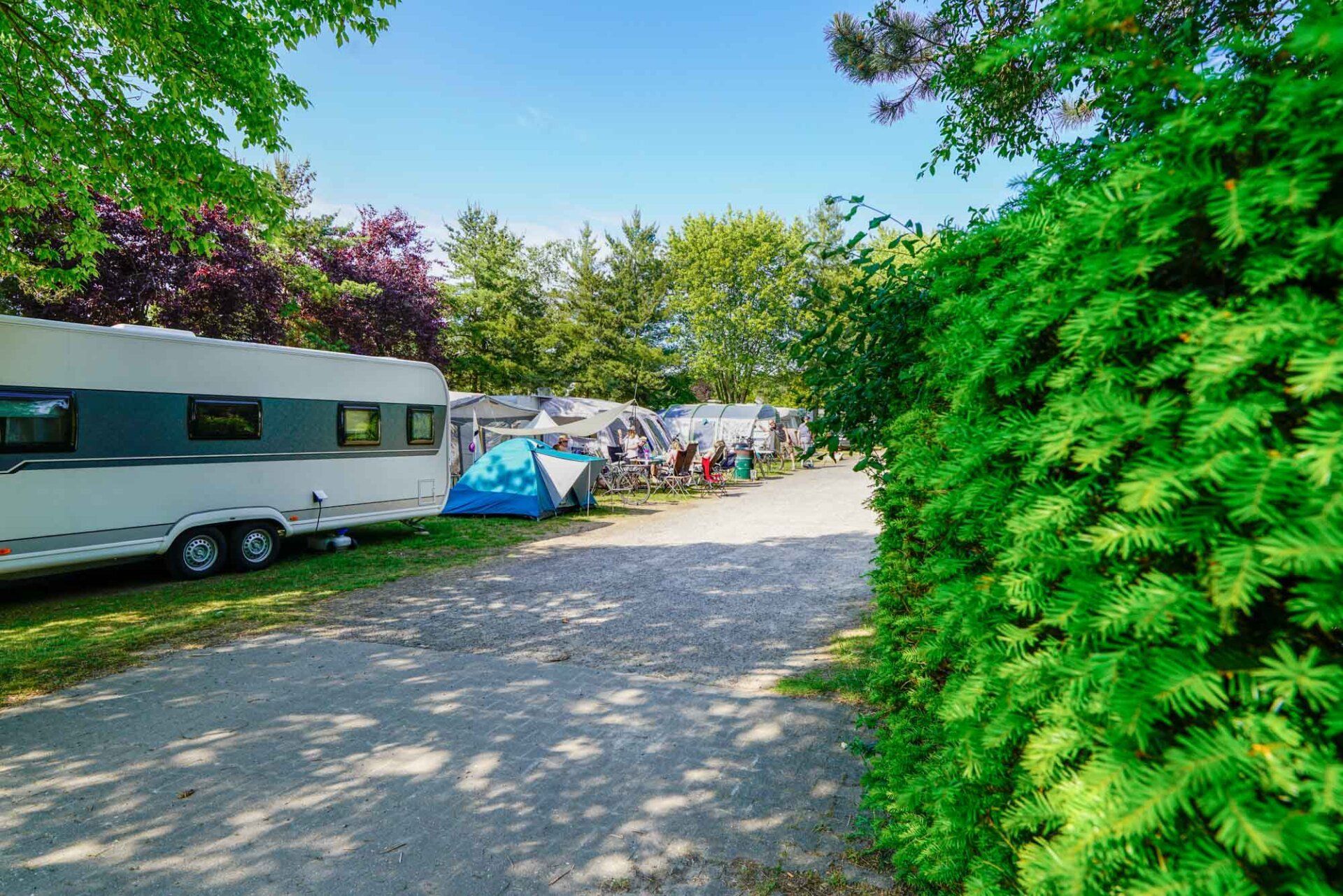 Campingplatz mit Wohnmobilen und Zelten, umgeben von Bäumen