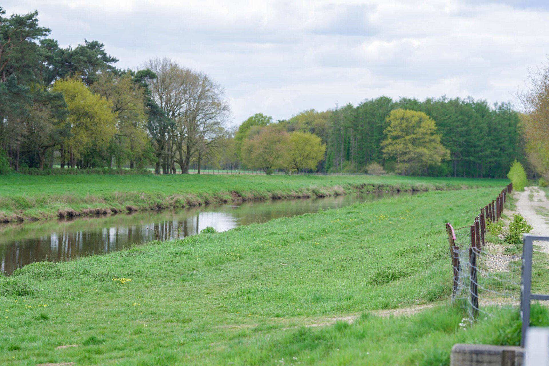 Ein Fluss fließt durch ein grasbewachsenes Ufer, gesäumt von Bäumen unter einem bewölkten Himmel.