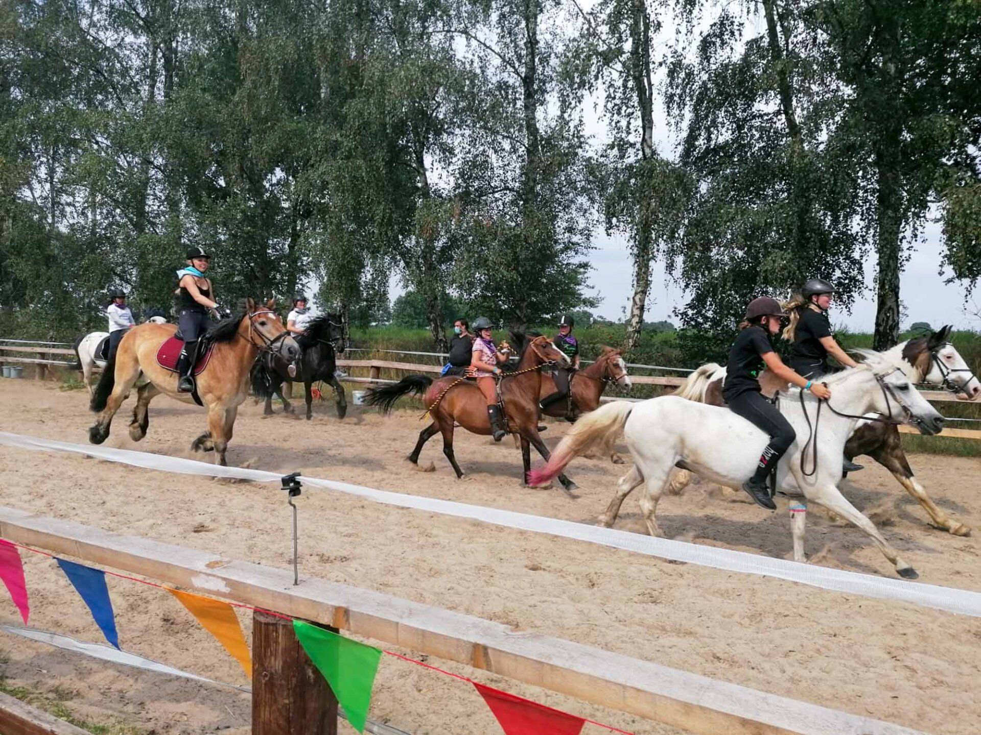 Menschen reiten auf Pferden in einer Sandarena