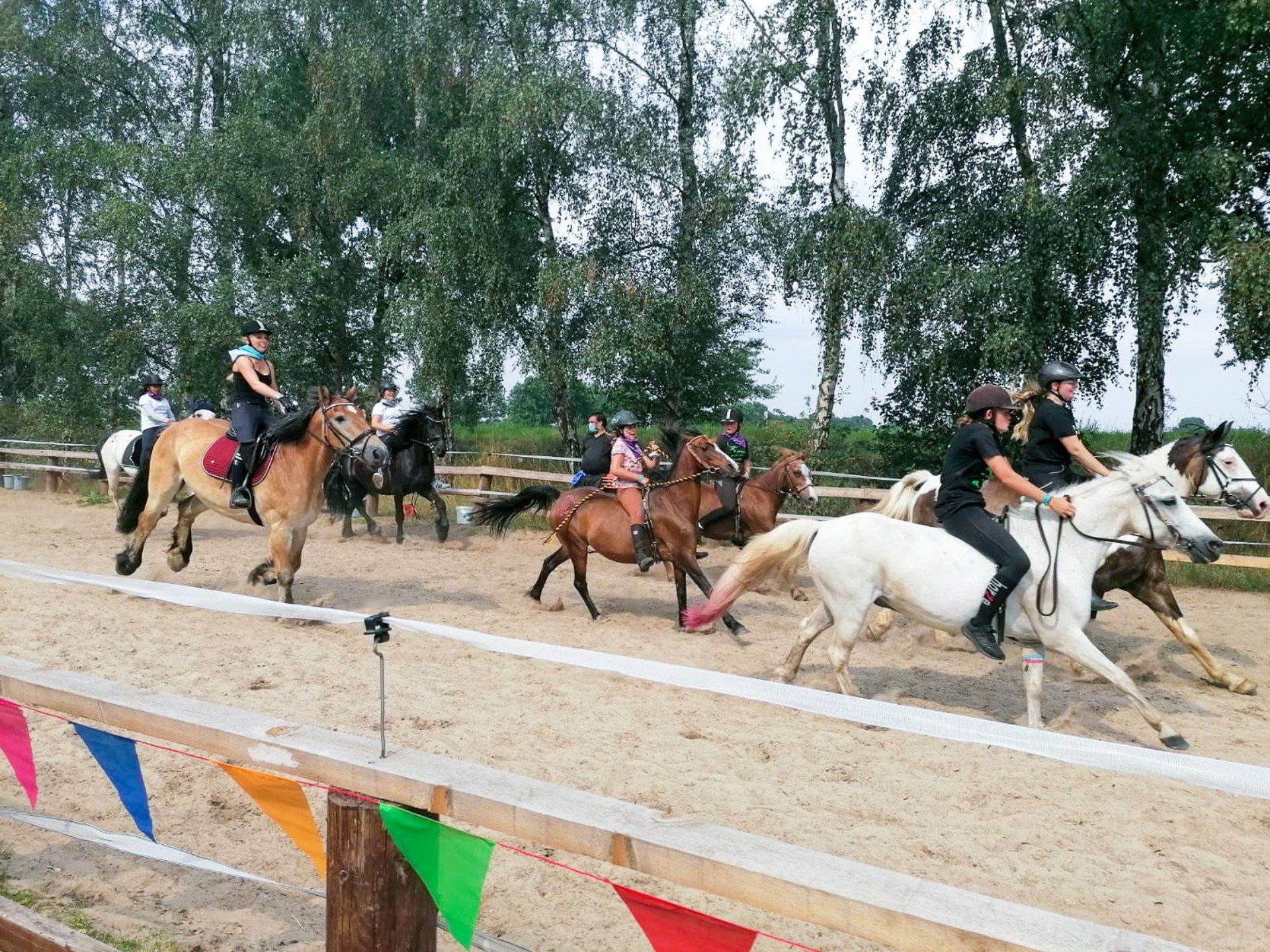 Reiter machen mit Pferden ein Rennen