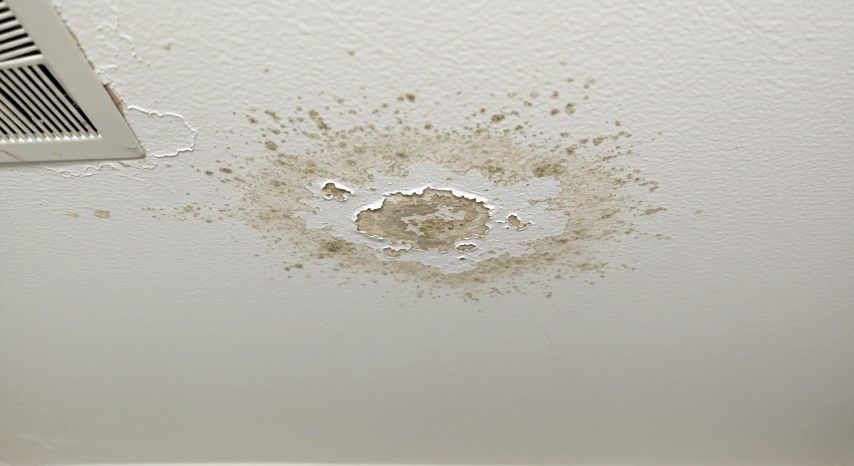 Ceiling with mold and peeling paint near a vent.