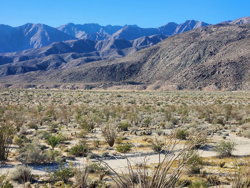 borrego-springs-desert