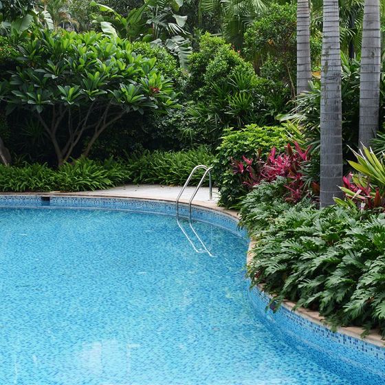 piscina con giardino