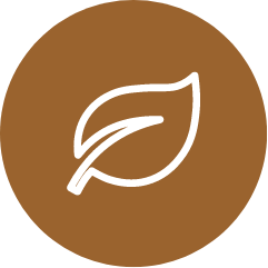 A white leaf is in a brown circle.
