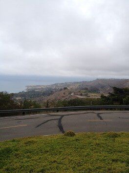 Clean View of Landscape — American Arbor Care — Lomita, CA