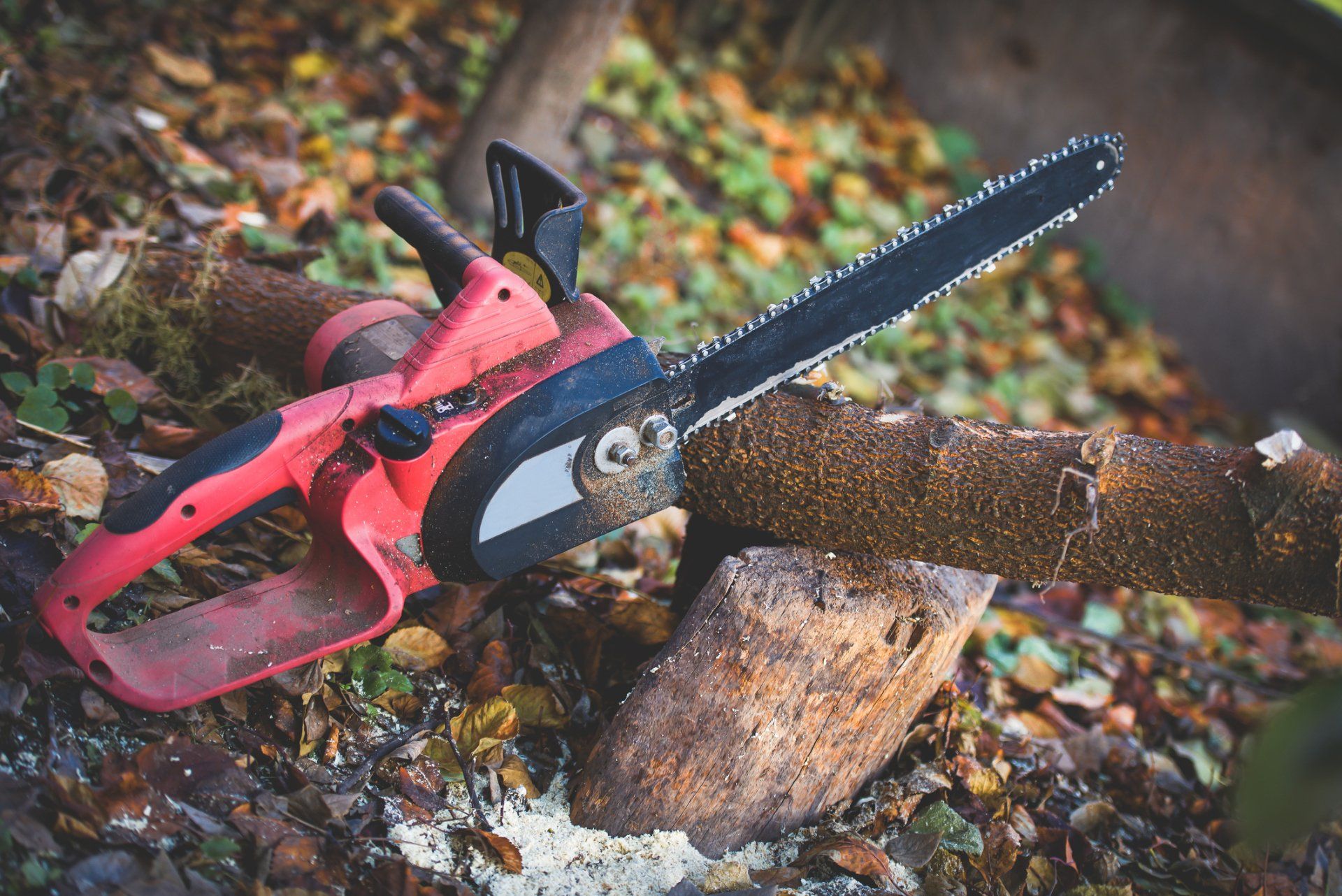 Red Chainsaw — American Arbor Care — Lomita, CA Red Chainsaw — American Arbor Care — Lomita, CA