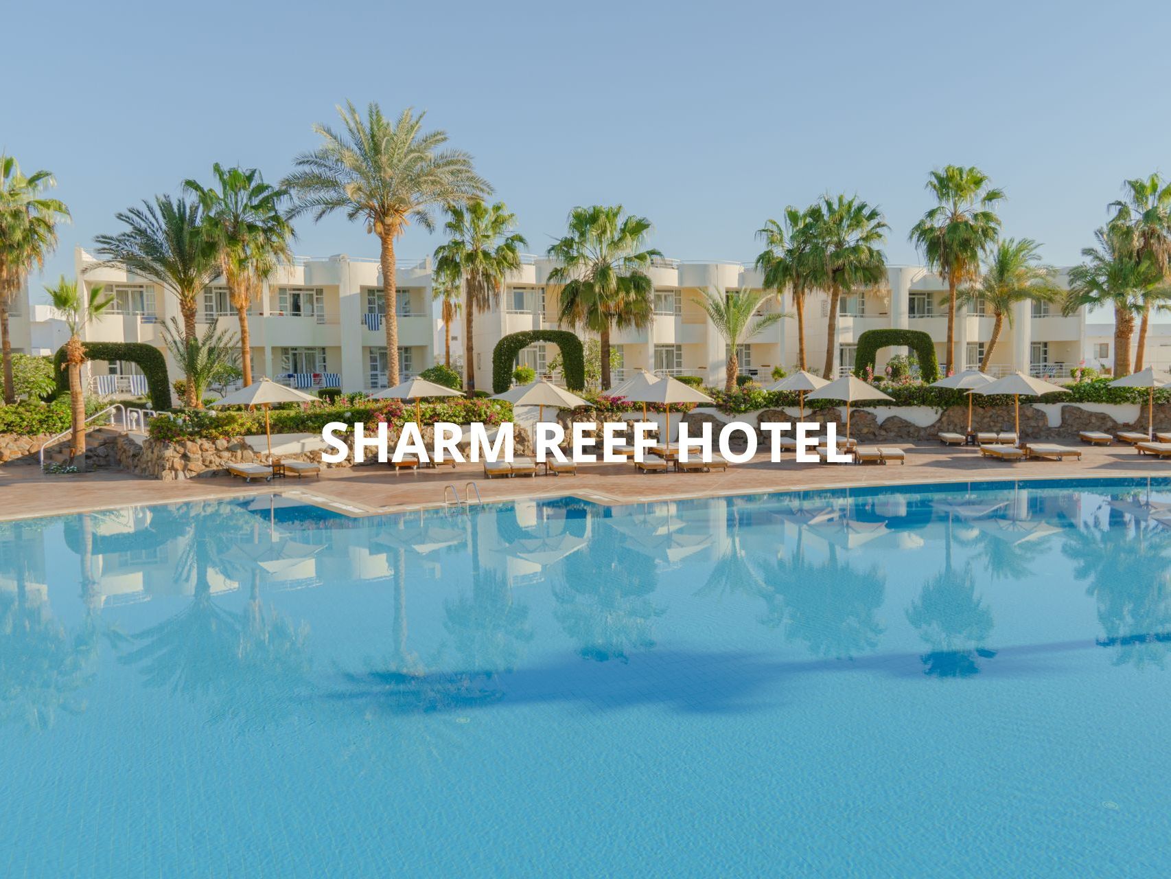 Sharm Reef