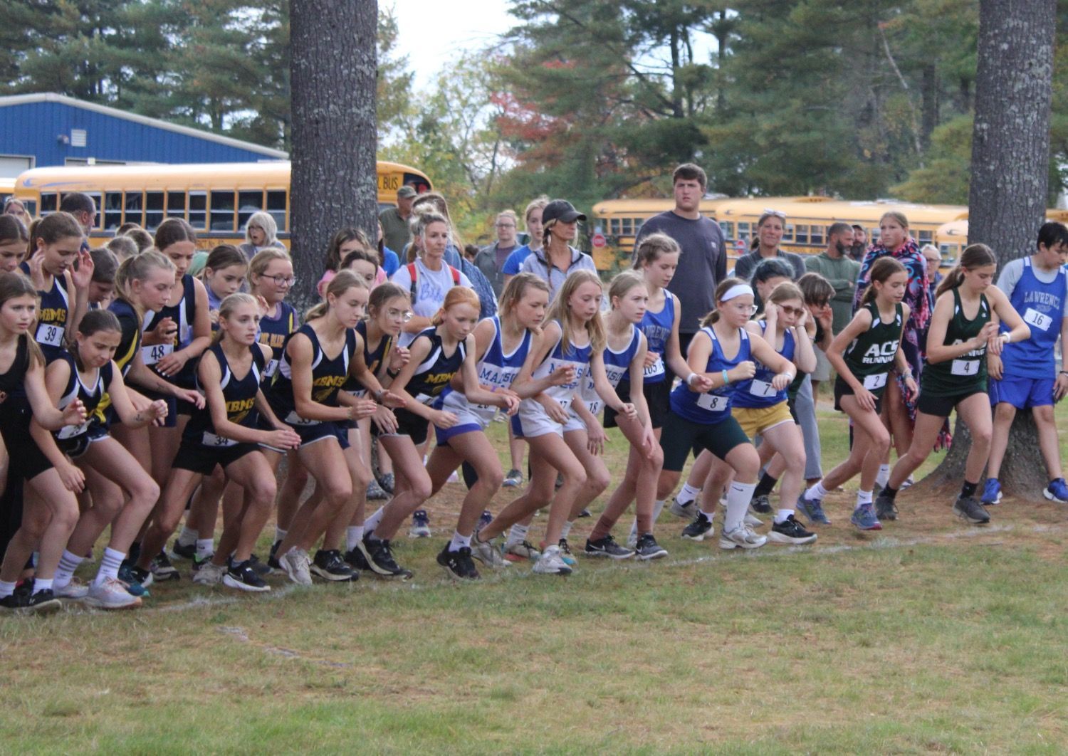 A group of girls are getting ready to run a cross country race