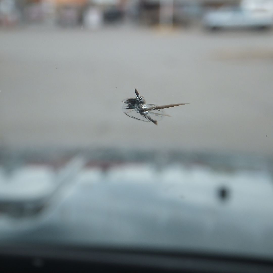 small but spreading chip in windshield