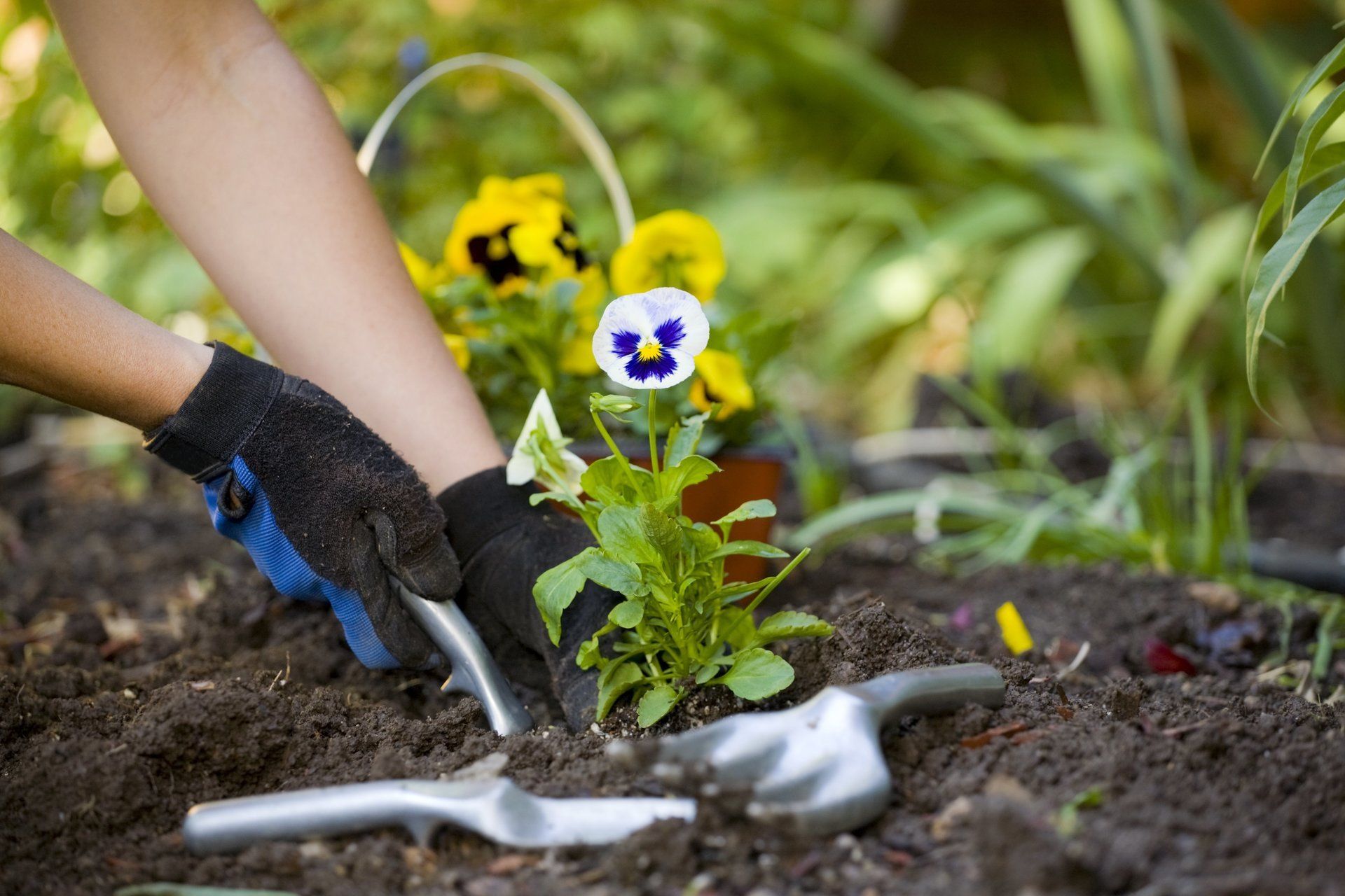 Flowerbed installation