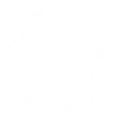 Empty white space.