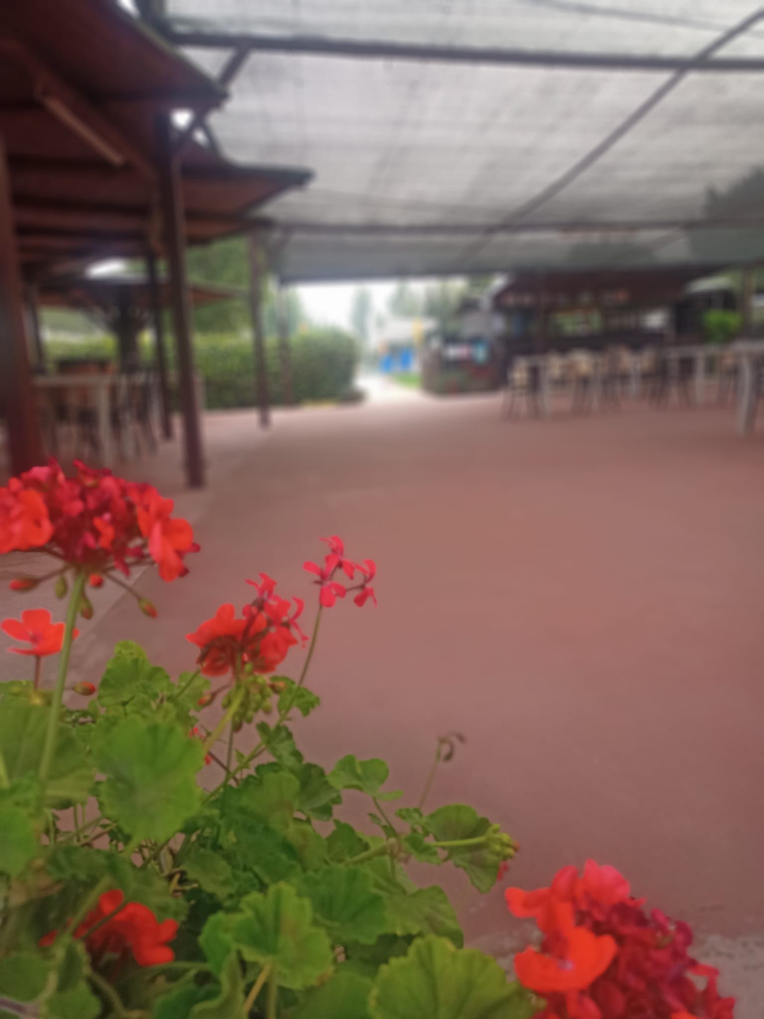 spazi esterni del ristorante pizzeria da Marino a Pontinia (LT)