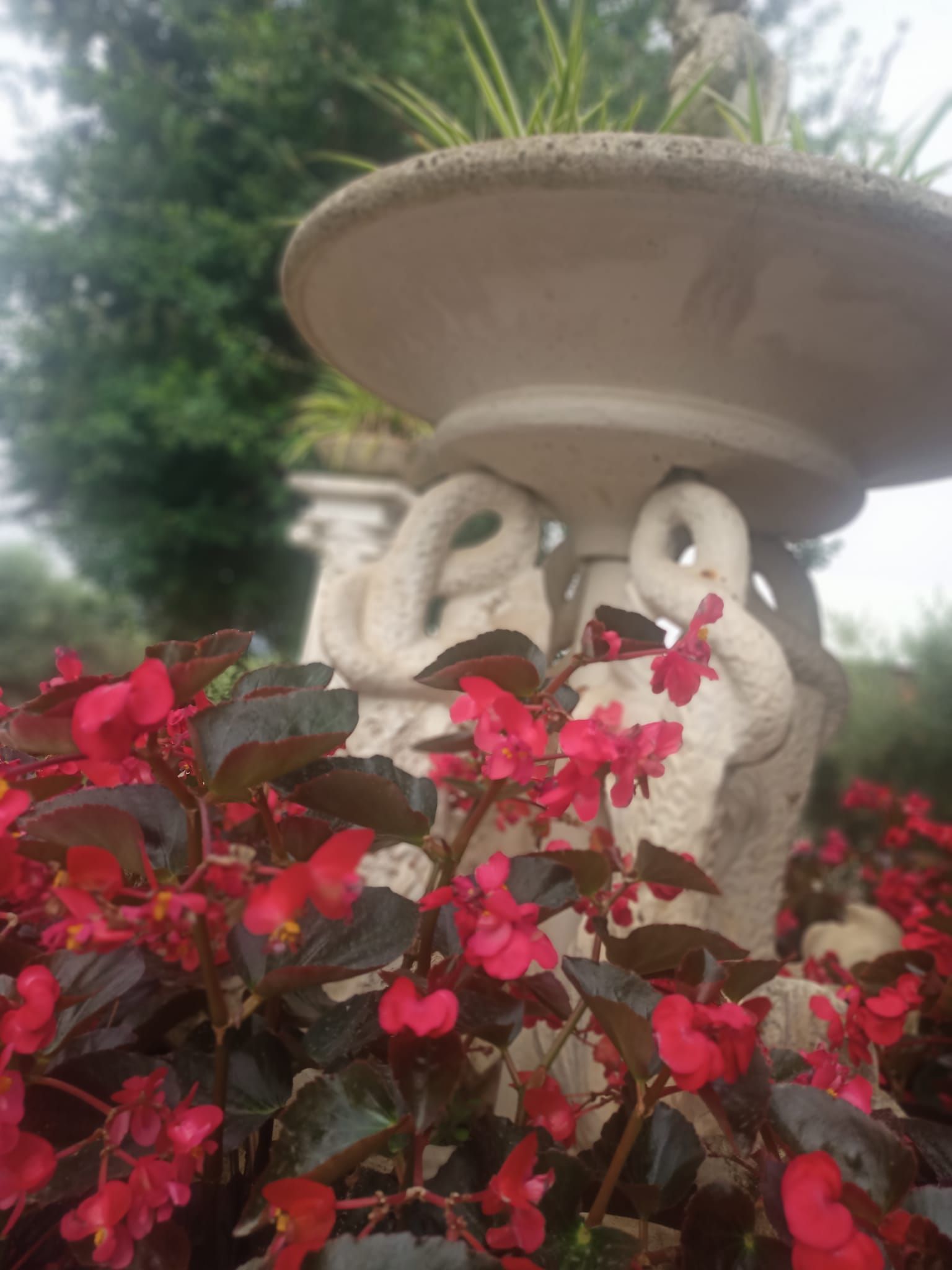 spazi esterni del ristorante pizzeria da Marino a Pontinia (LT)