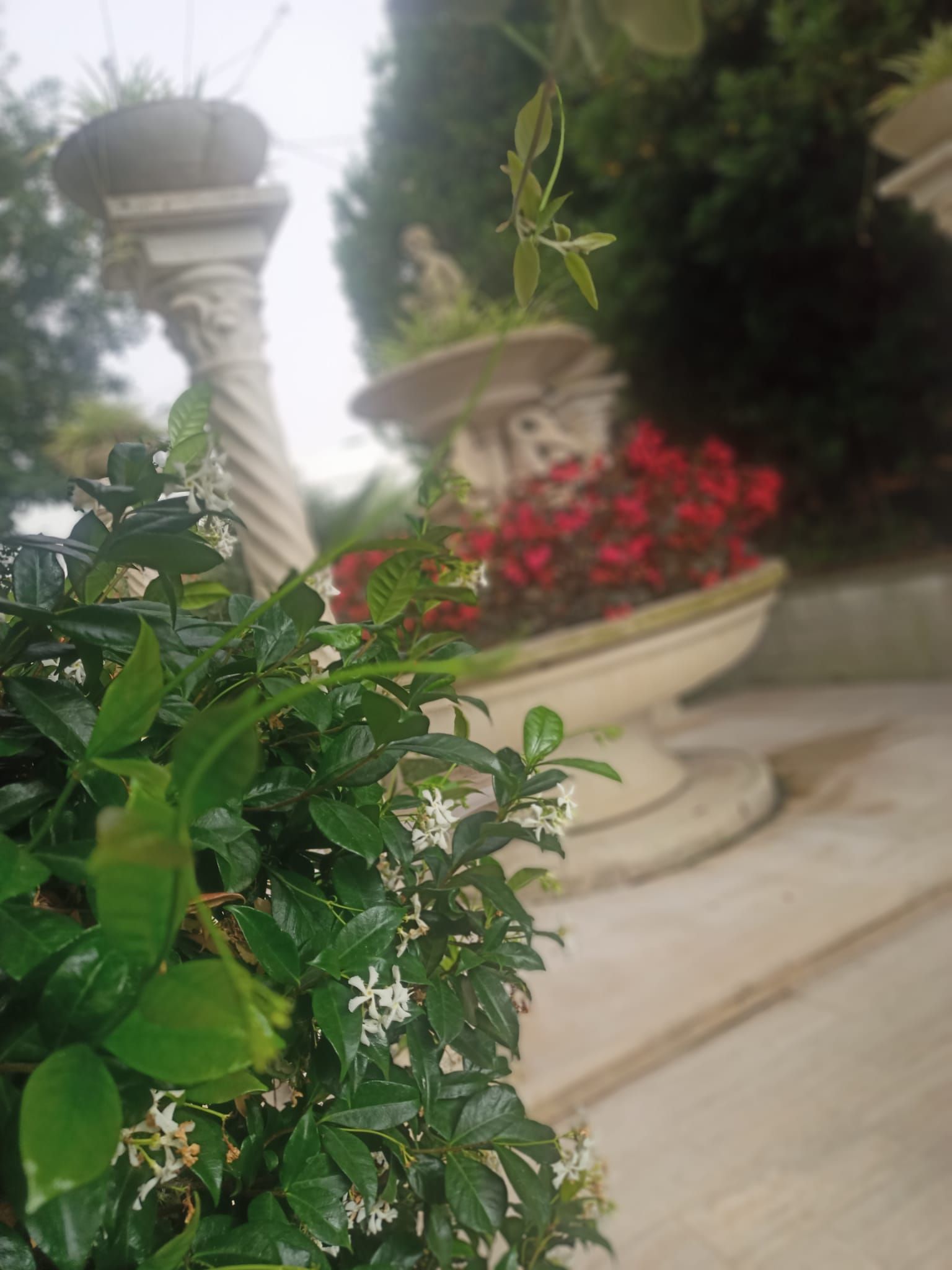 spazio esterno del ristorante pizzeria da Marino di Pontinia (LT)