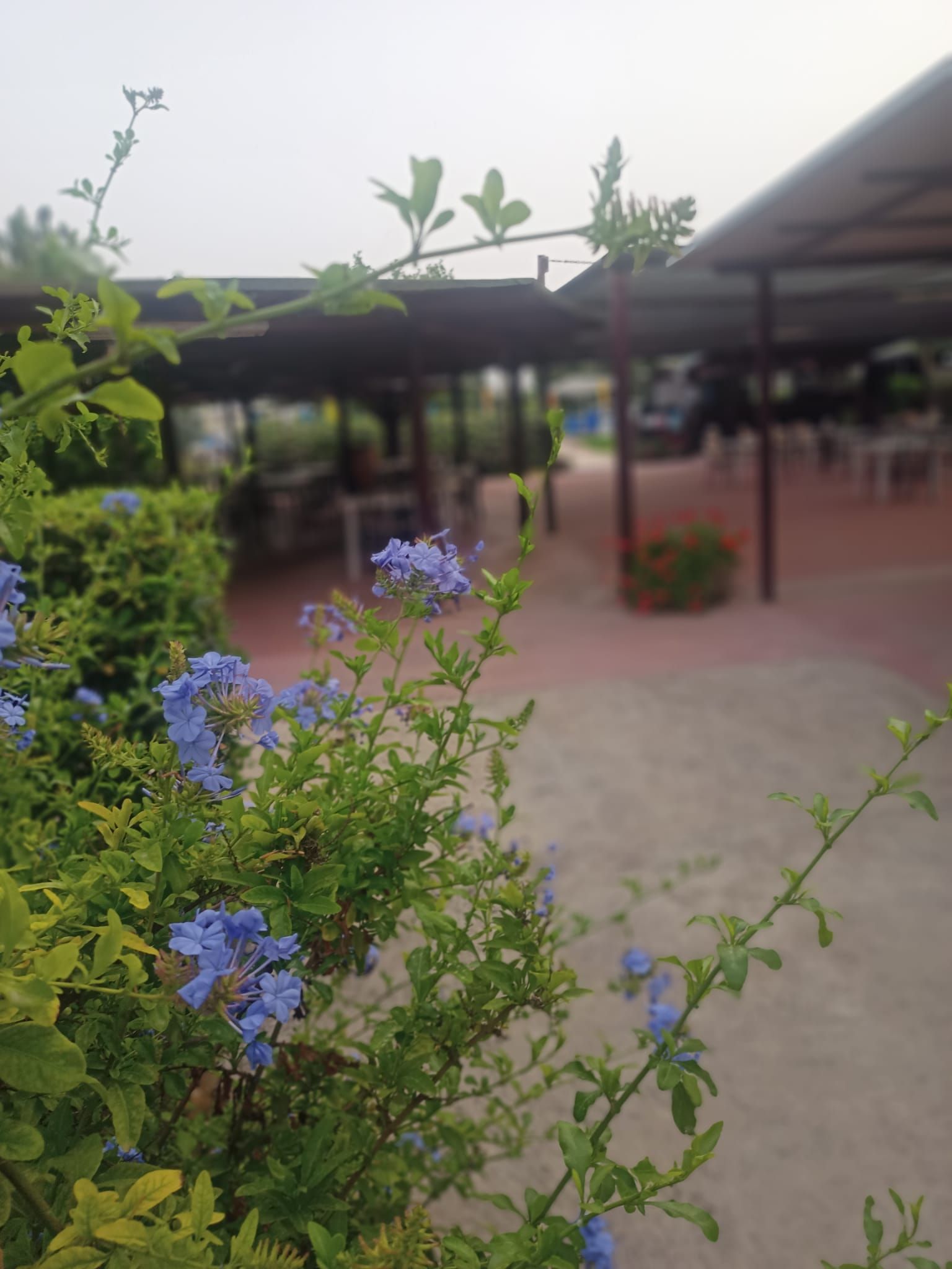 spazi esterni del ristorante pizzeria da Marino a Pontinia (LT)