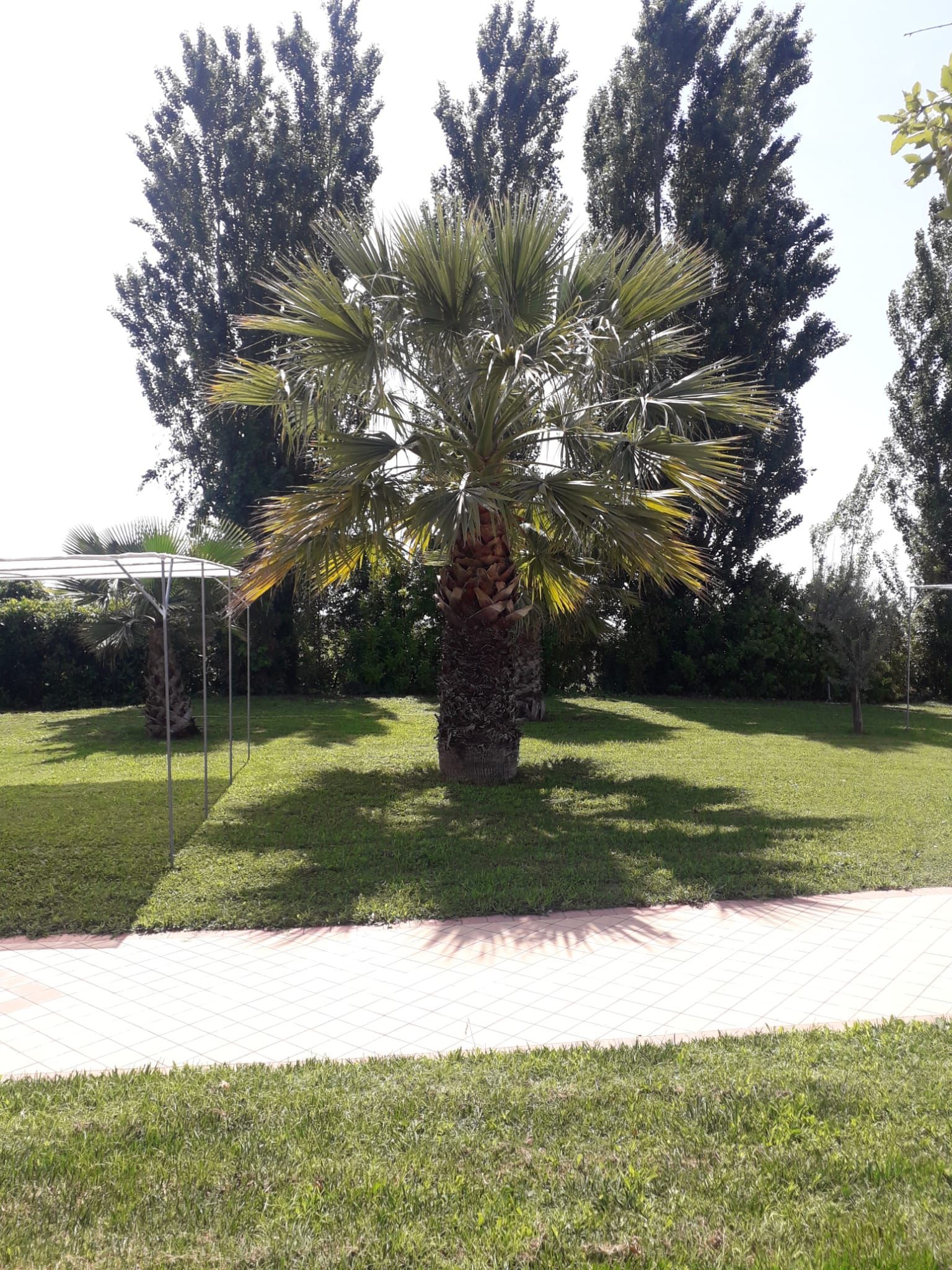 spazi esterni del ristorante pizzeria da Marino a Pontinia (LT)