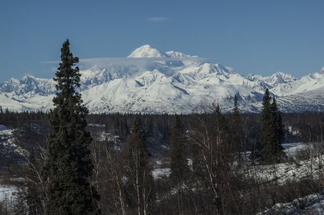Scenic Perspective | Healy, AK | Denali Totem Inn
