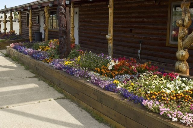 Flowerbed | Healy, AK | Denali Totem Inn