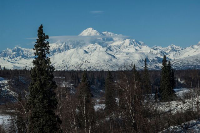 Beautiful View | Healy, AK | Denali Totem Inn