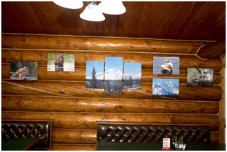Wall With Paintings | Healy, AK | Denali Totem Inn