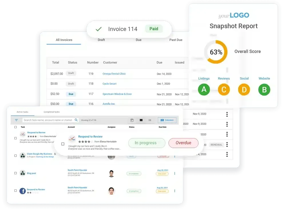Screenshots of financial and project management dashboards with data tables, charts, and status indicators.