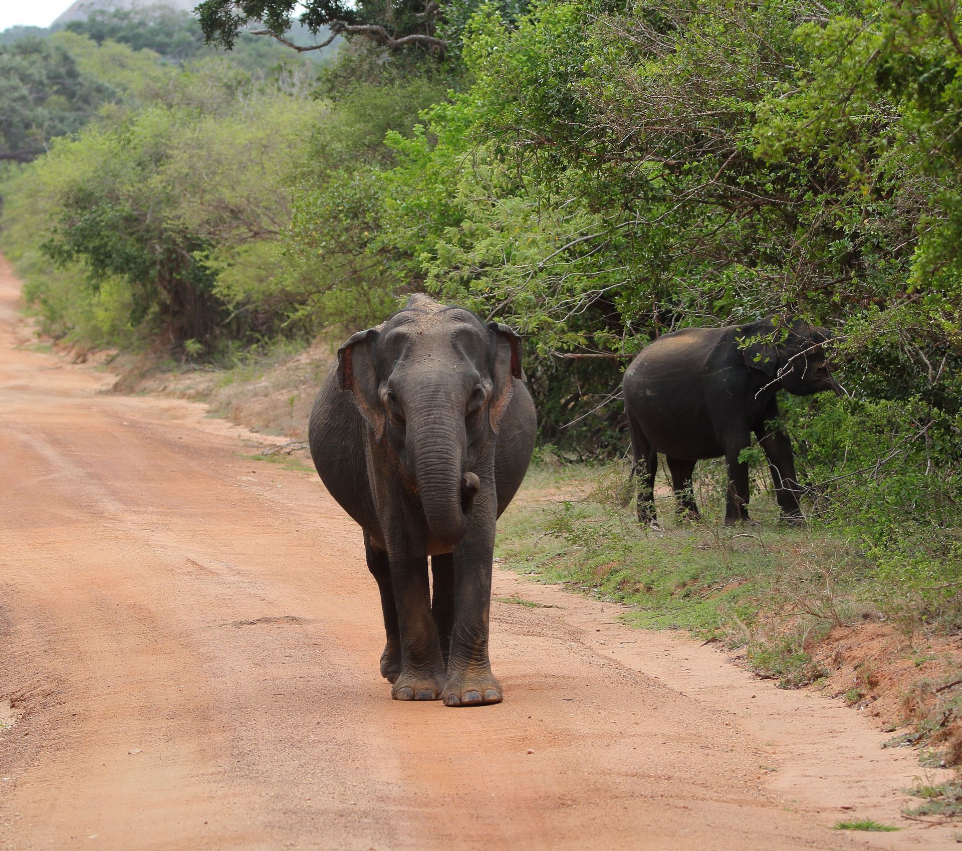 From £5,154 per person excl. flights