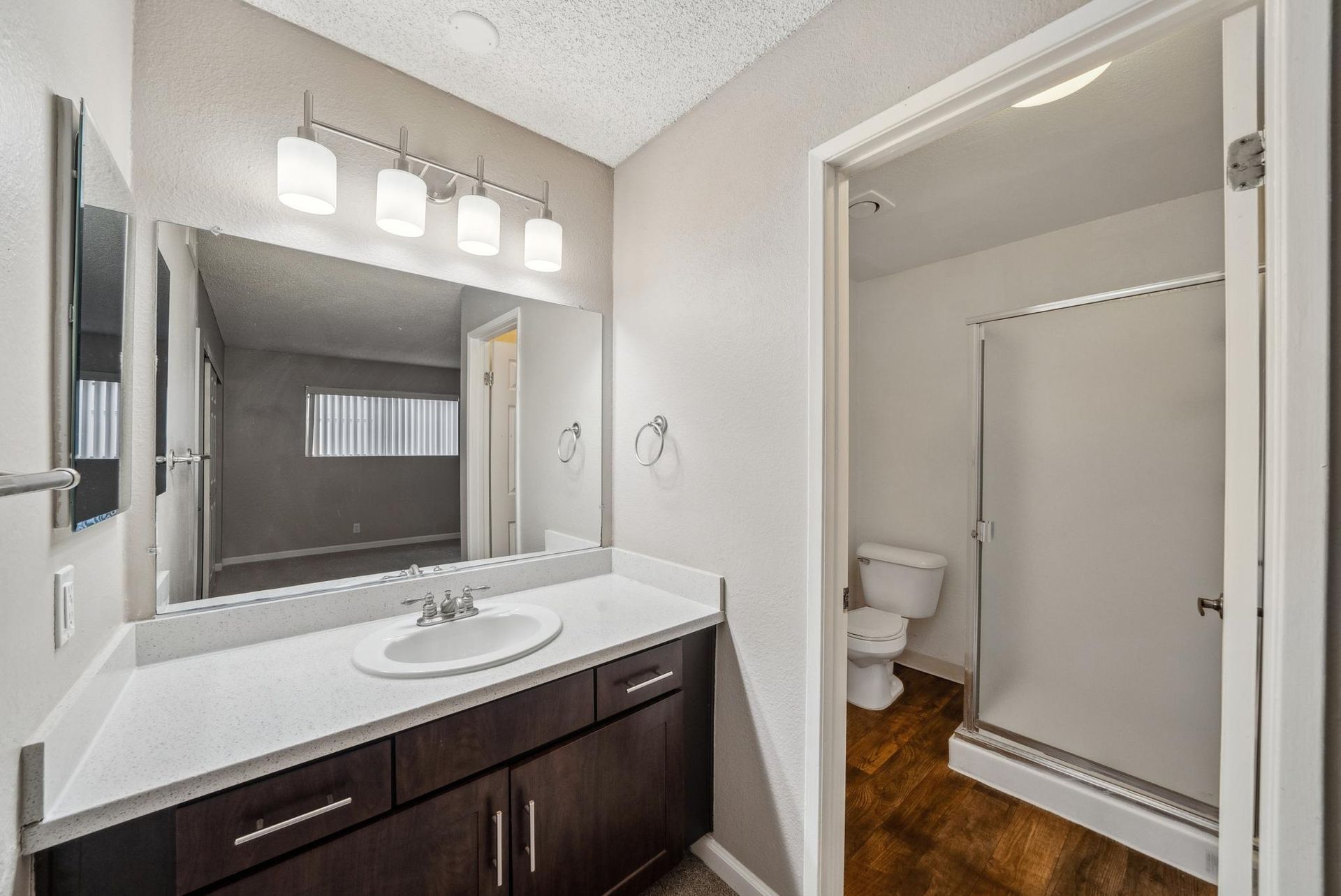 Bathroom vanity with sink, mirror, and doorway to shower and toilet.
