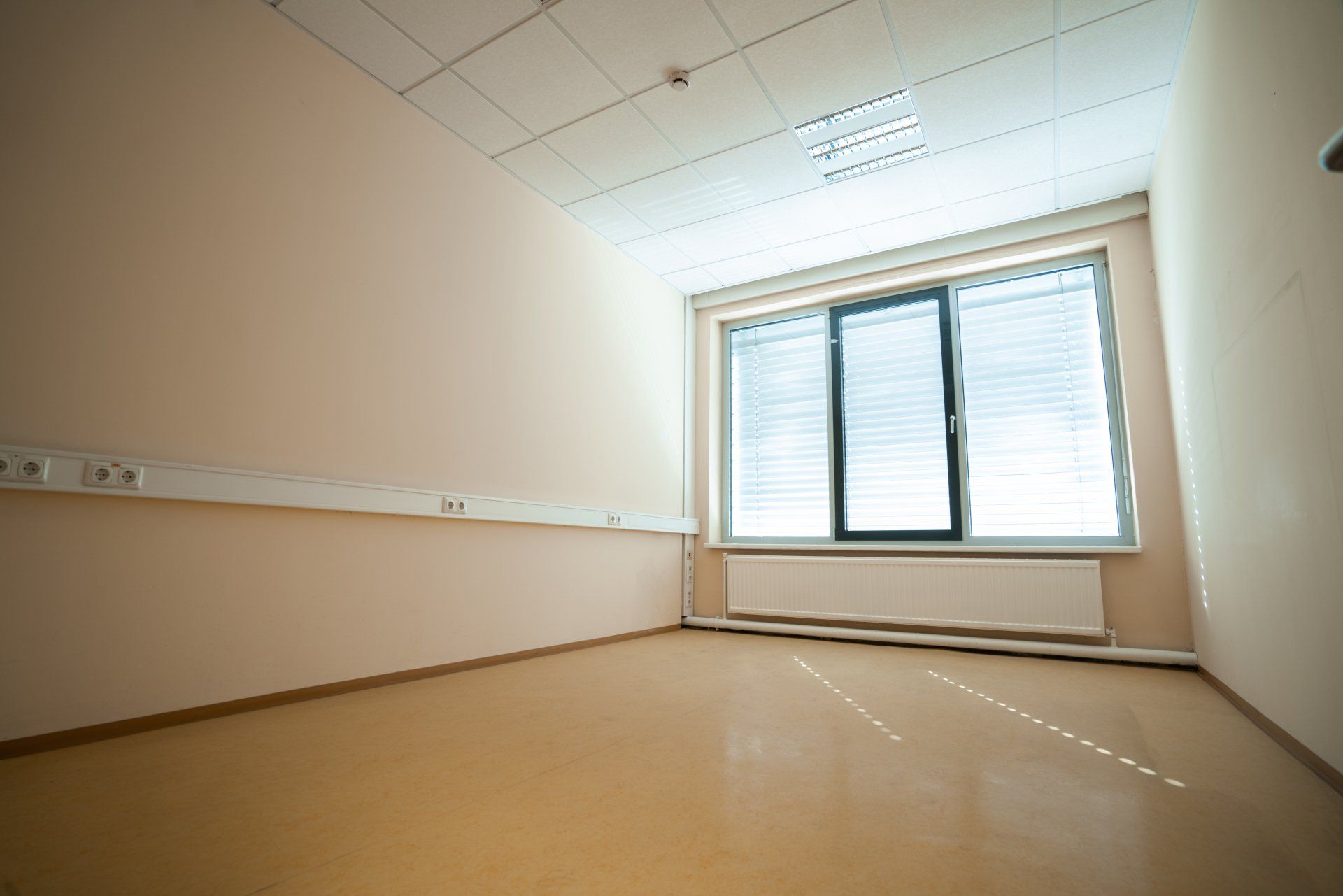RBL, Immobilien, Immobilien Vermietung, hALLE