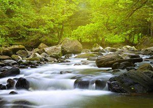 Water running down over rocks between green trees
