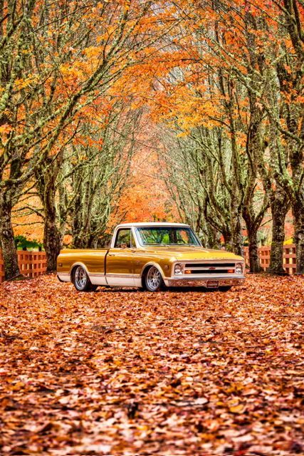 c10