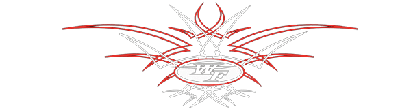 A red and white design with a circle in the middle on a white background.