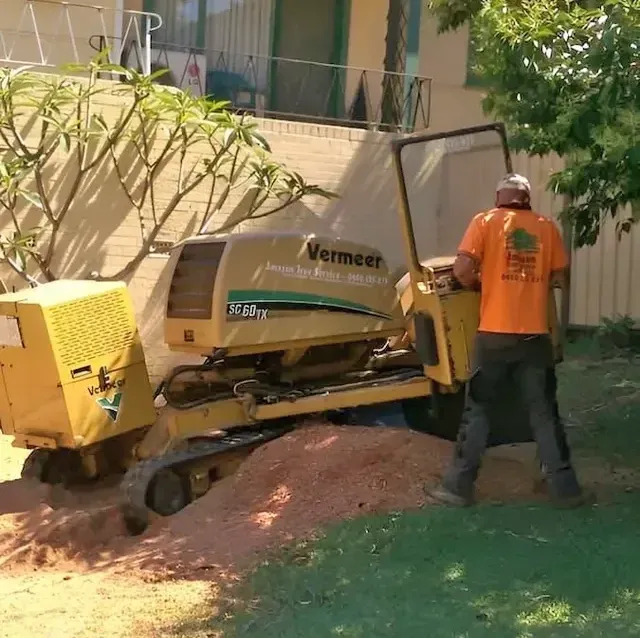 A Man Operates a Yellow Stump Grinder Next to a Building — Amazon Tree Service in Picton, NSW