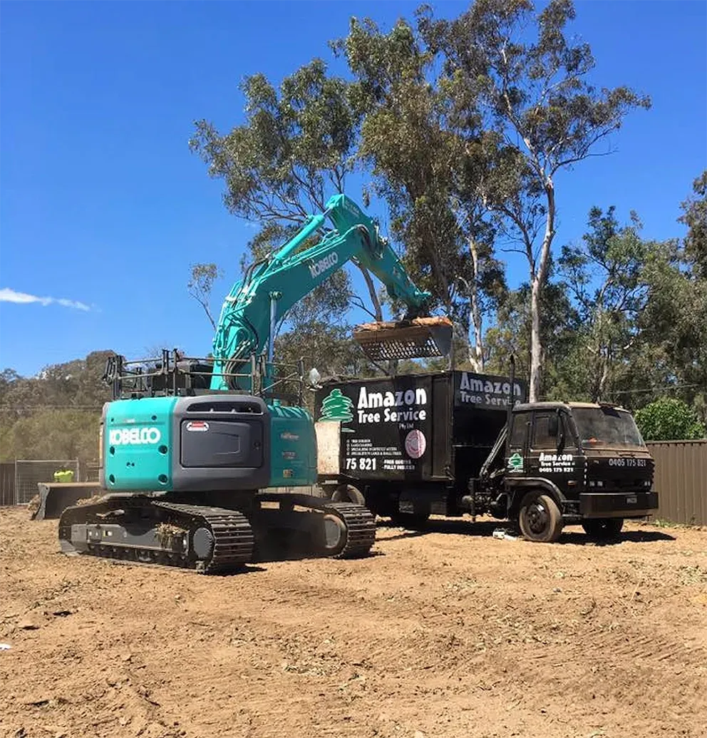 A Green Excavator Clearing A Site Loading Stumps On A Truck — Amazon Tree Service in Picton, NSW