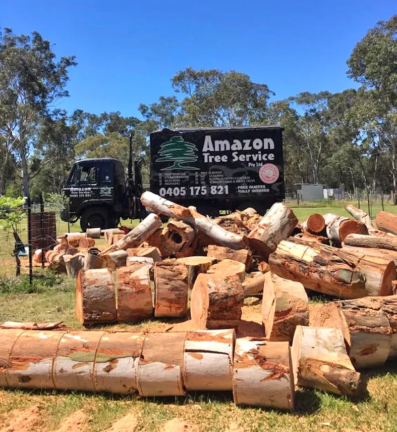Amazon Tree Service Truck With Cut Logs in a Field on a Sunny Day — Amazon Tree Service in Picton, NSW