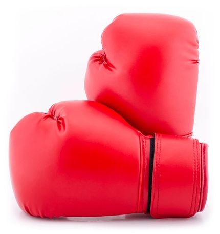 pair of boxing gloves