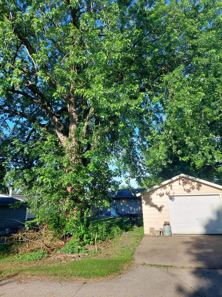 Tree Removal Onalaska WI