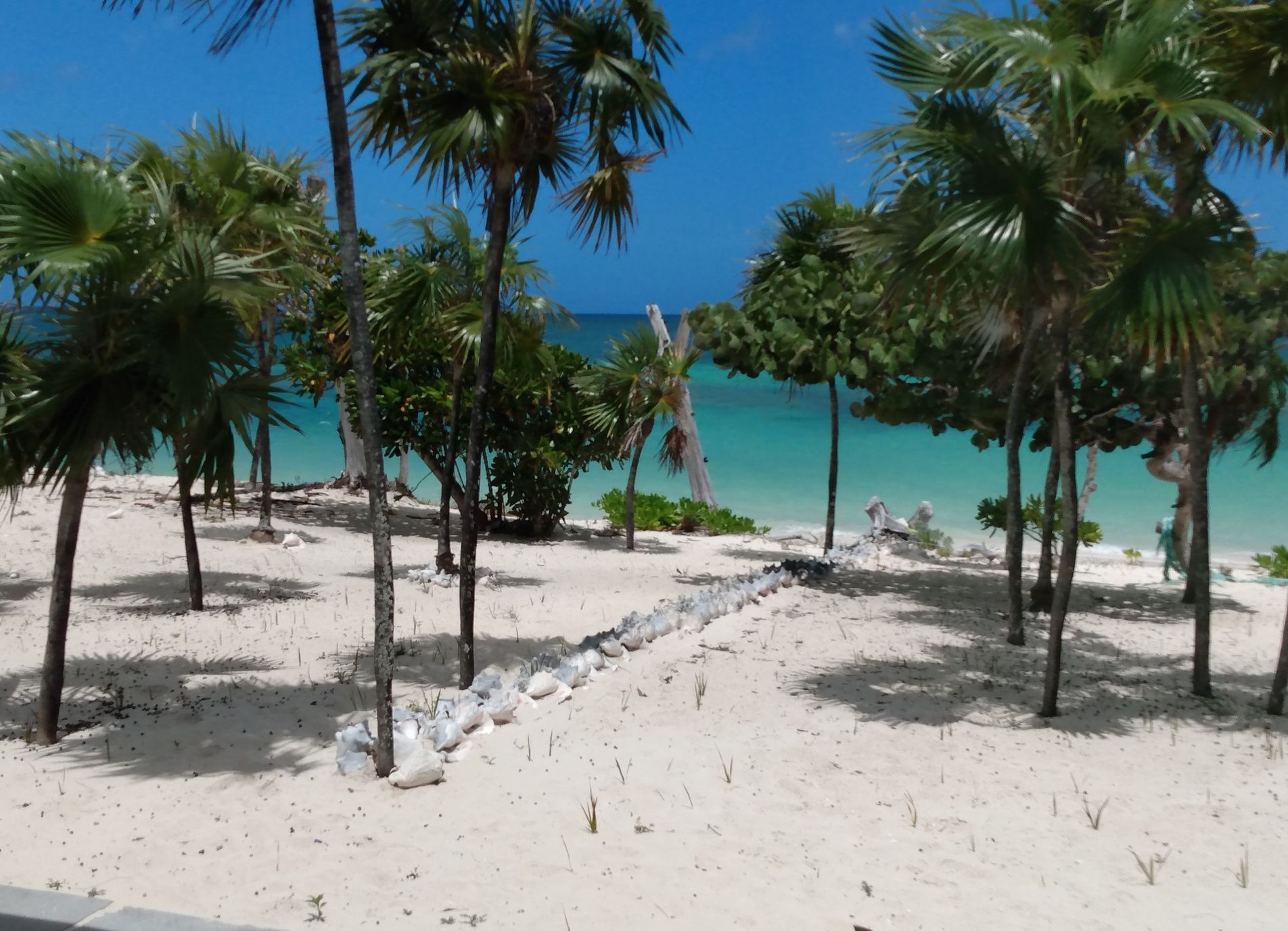 North Caicos - where I was consulting stakeholders on land reform