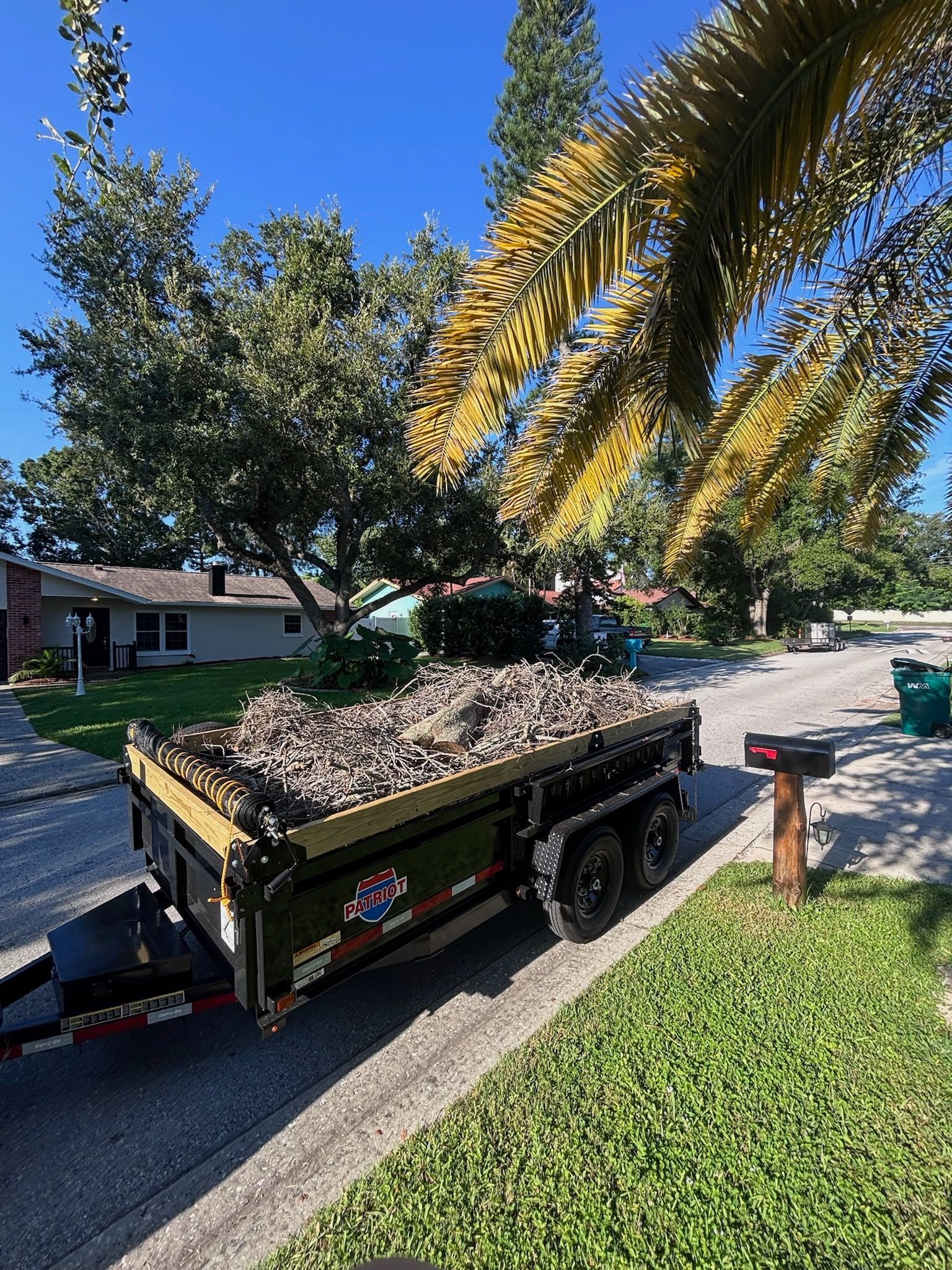 A trailer filled with tree debris parked on a residential street.