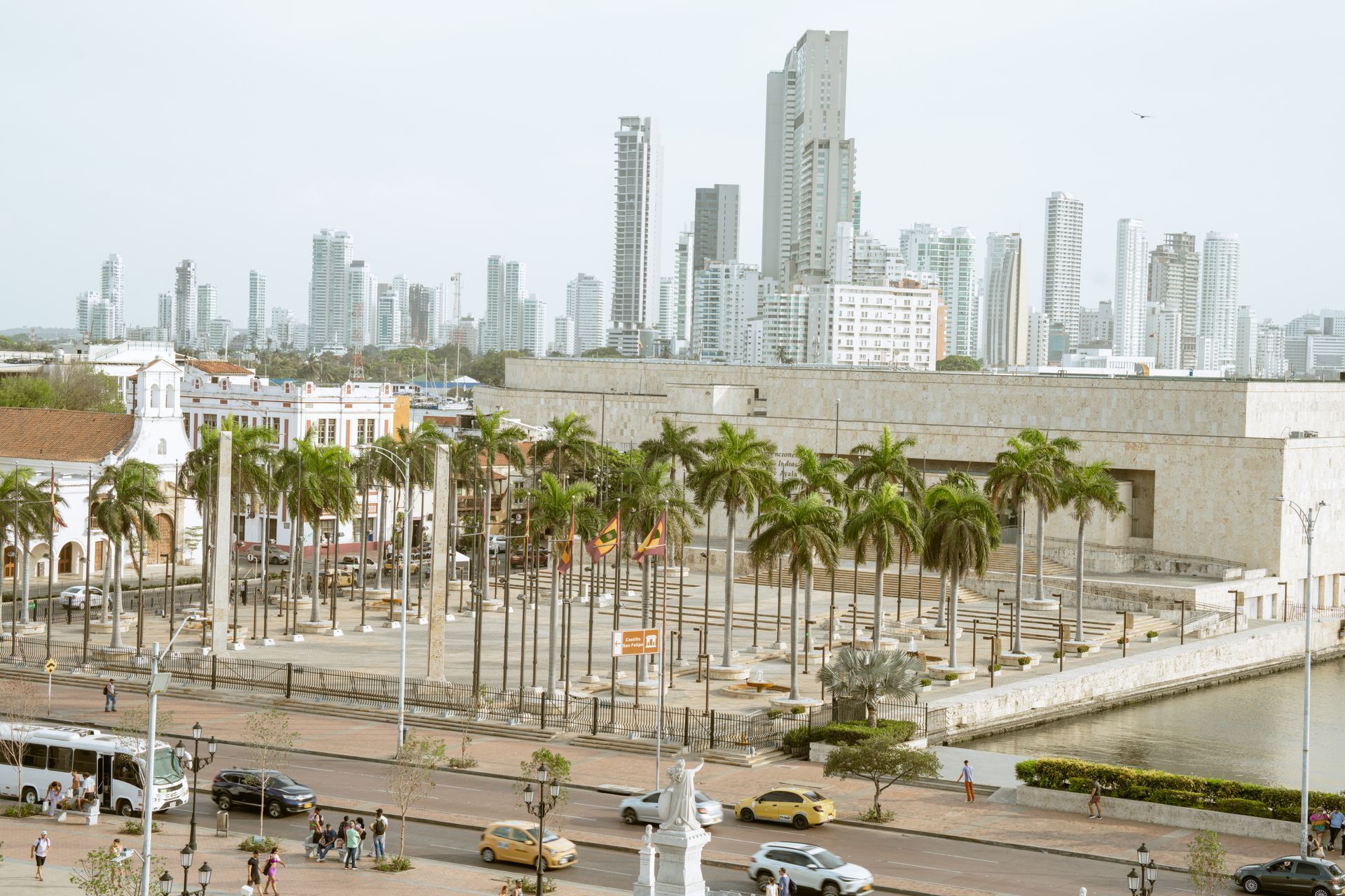 Una vista aérea de una ciudad con un horizonte y palmeras en primer plano.