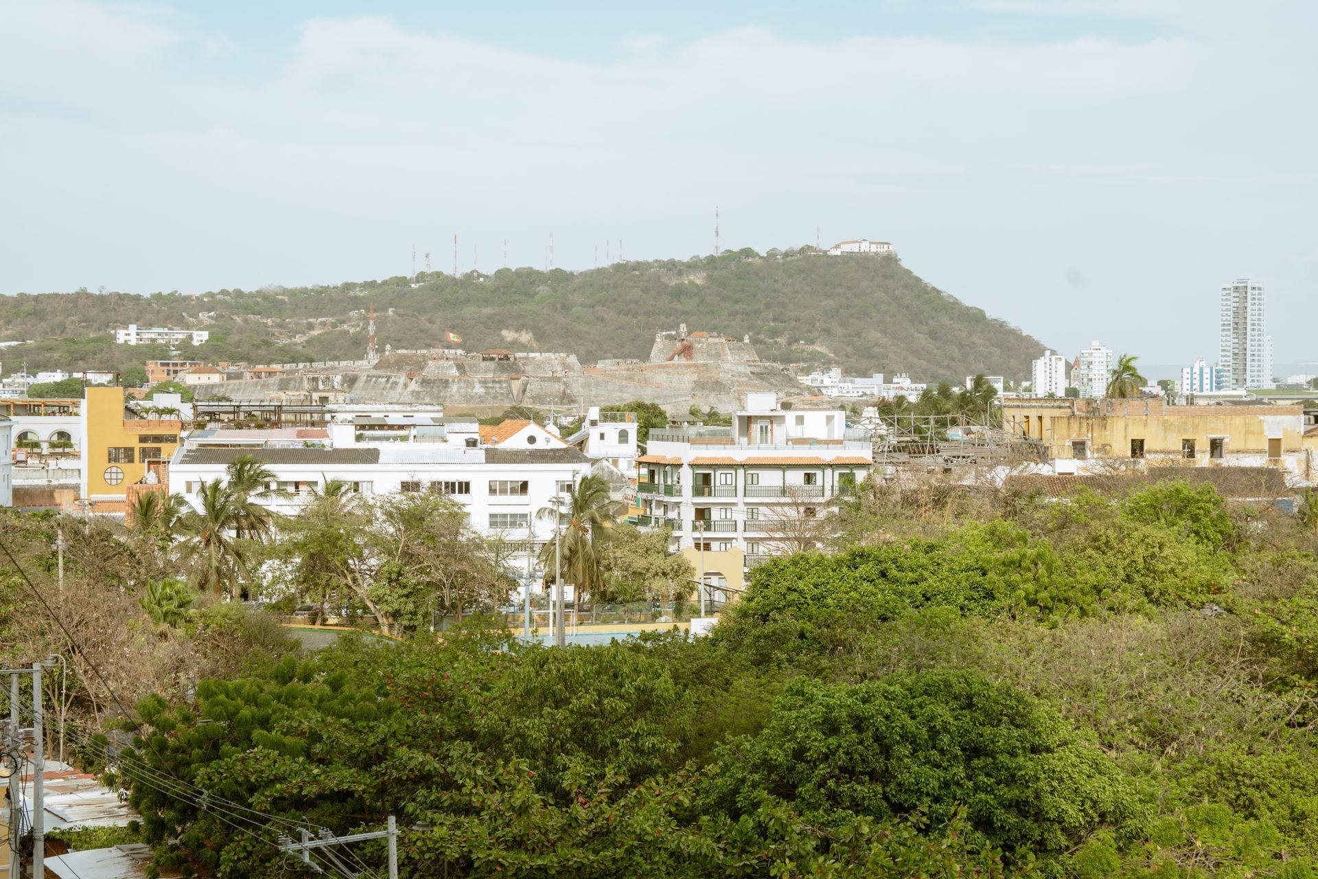 Una ciudad con una montaña al fondo y árboles en primer plano.