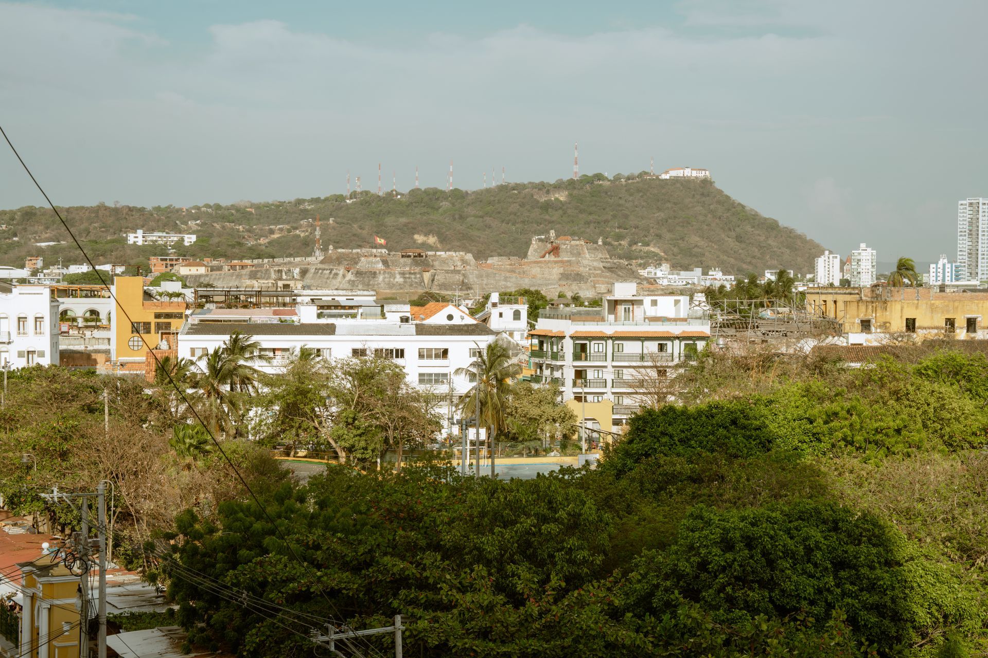 Una ciudad con una montaña al fondo y árboles en primer plano.