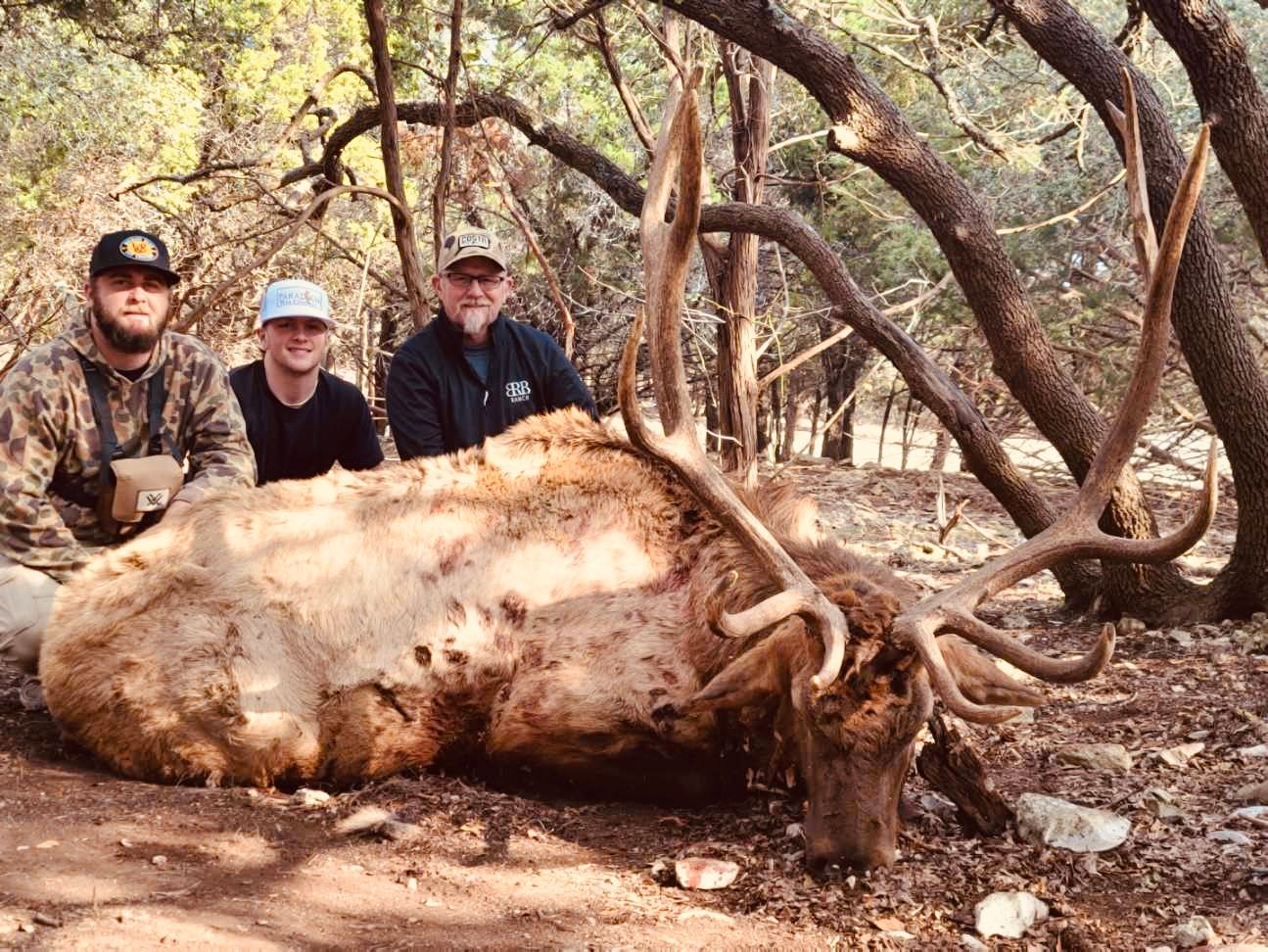 Texas Elk Hunting MMK Outfitters